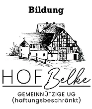 Bild zum Projekt