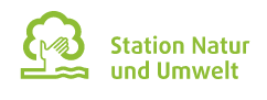 Bild zum Projekt